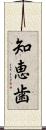 知恵歯 Scroll