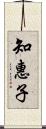 知惠子 Scroll