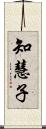 知慧子 Scroll