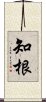 知根 Scroll