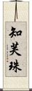 知芙珠 Scroll