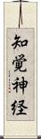 知覚神経 Scroll