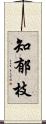 知郁枝 Scroll