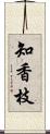 知香枝 Scroll