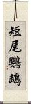 短尾鸚鵡 Scroll