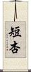 短杏 Scroll