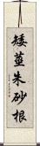 矮莖朱砂根 Scroll