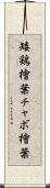 矮鶏檜葉 Scroll