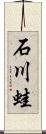 石川蛙 Scroll