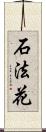 石法花 Scroll