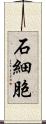 石細胞 Scroll