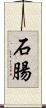 石腸 Scroll