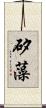矽藻 Scroll