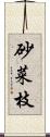 砂菜枝 Scroll