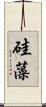硅藻 Scroll
