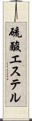 硫酸エステル Scroll
