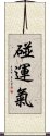 碰運氣 Scroll