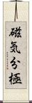 磁気分極 Scroll