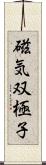 磁気双極子 Scroll