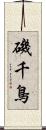 磯千鳥 Scroll