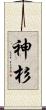 神杉 Scroll
