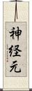 神経元 Scroll