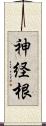 神経根 Scroll