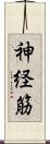 神経筋 Scroll