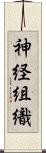 神経組織 Scroll