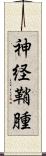 神経鞘腫 Scroll