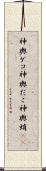 神輿ダコ Scroll