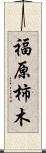 福原柿木 Scroll