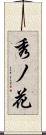 秀ノ花 Scroll