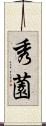 秀薗 Scroll
