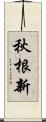秋根新 Scroll