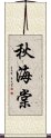 秋海棠 Scroll