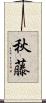 秋藤 Scroll