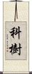 科樹 Scroll
