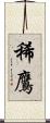 稀鷹 Scroll