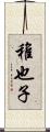 稚也子 Scroll