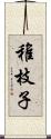 稚枝子 Scroll