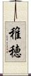 稚穂 Scroll