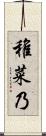 稚菜乃 Scroll