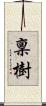 稟樹 Scroll