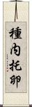 種内托卵 Scroll