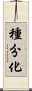 種分化 Scroll