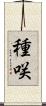 種咲 Scroll