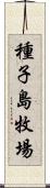 種子島牧場 Scroll