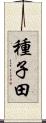 種子田 Scroll