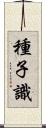 種子識 Scroll